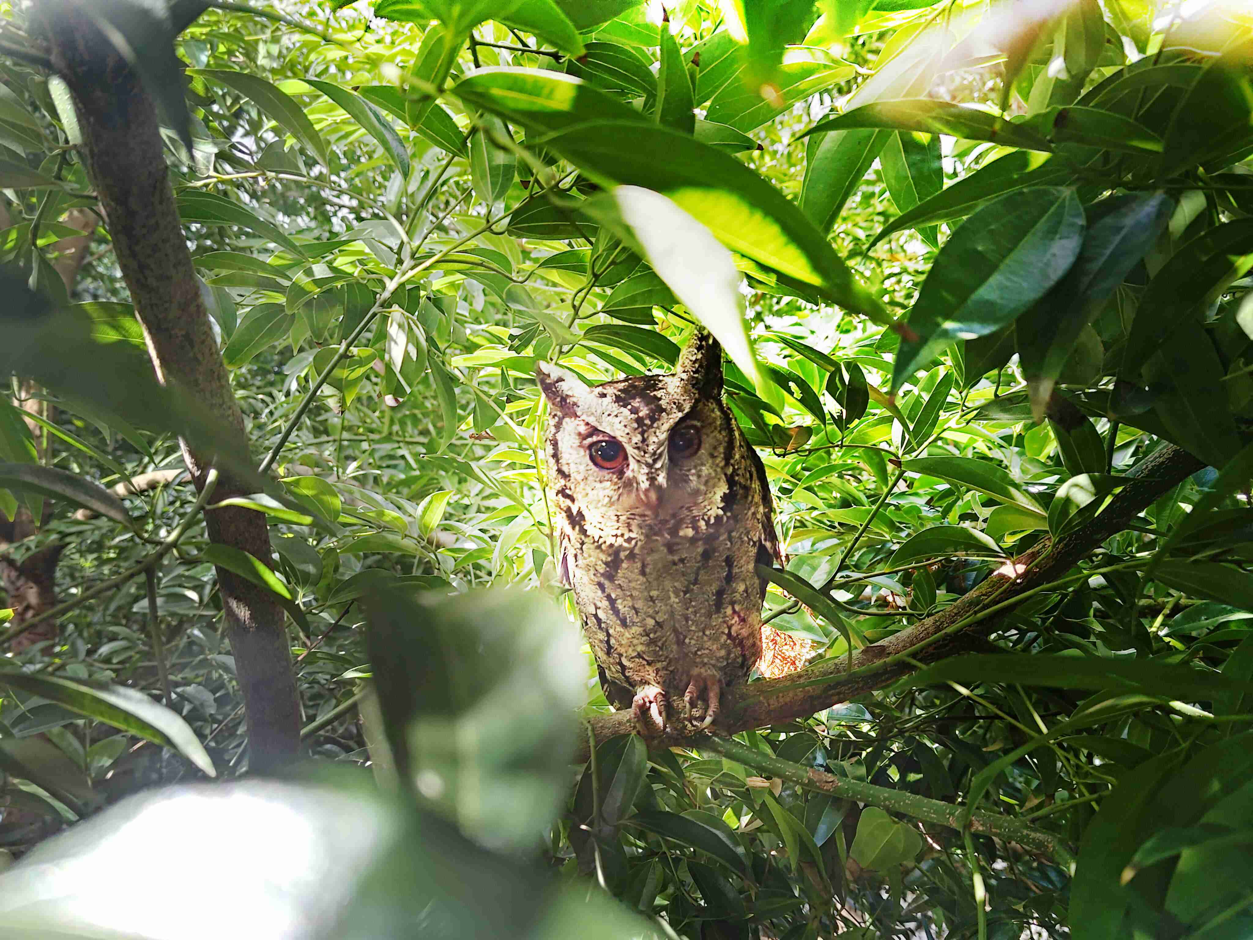 尊时凯龙致力提倡净零绿生活，，，16年以来在全球各厂区植树逾百万棵，，，造就各厂区树木蔚然成林，，犹如森林工厂，，成为许多生物的栖息地